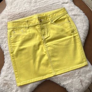 CACHE Skirt‎ (CLST)